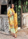 Cinderella Pak Libas Regular Wear Wholesale Cotton Salwar Suit